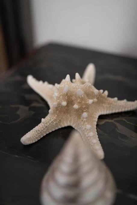 ヴェルナッツァ La Finestra Sul Mare A Drignanaヴィラ エクステリア 写真